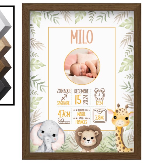 Personalized Birth Frame...