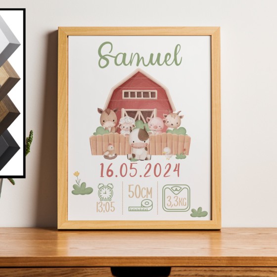 Personalized Birth Frame...