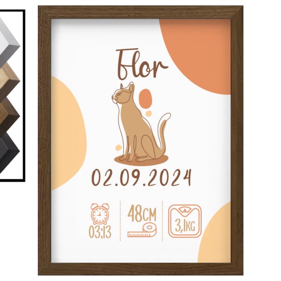 Personalized Birth Frame Cat
