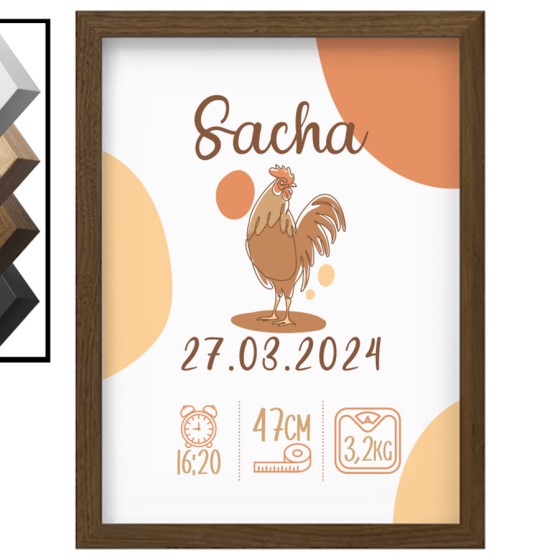 Personalized Birth Frame...