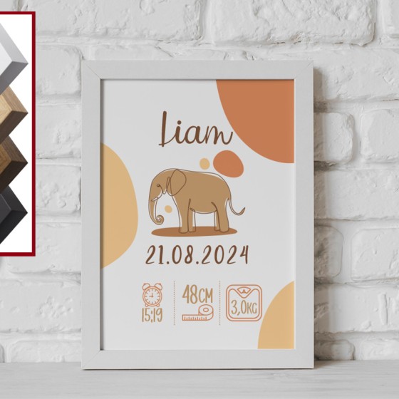 Personalized Birth Frame...
