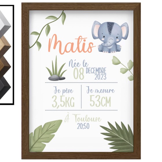 Personalized Birth Frame...