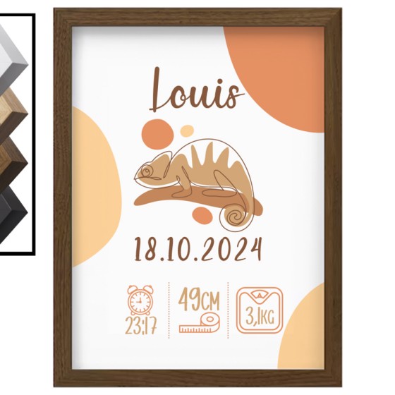 Personalized Birth Frame...