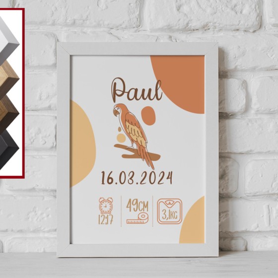 Personalized Birth Frame...