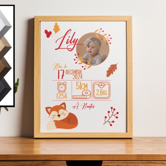 Personalized Birth Frame...