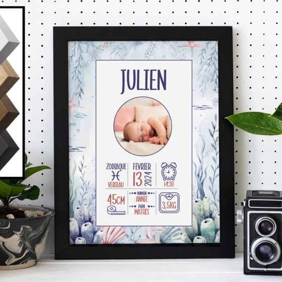 Personalized Birth Frame...